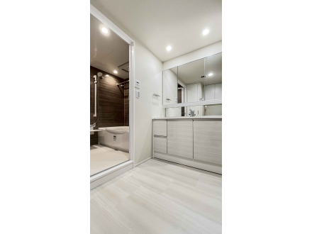 image photo