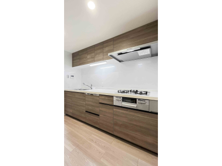 image photo