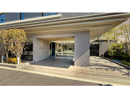 image photo