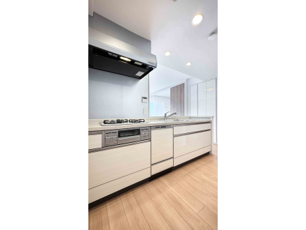 image photo