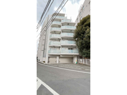 image photo