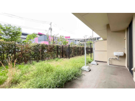 image photo