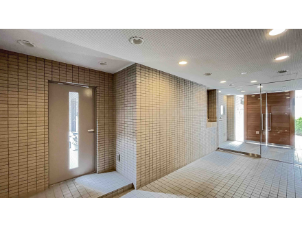 image photo