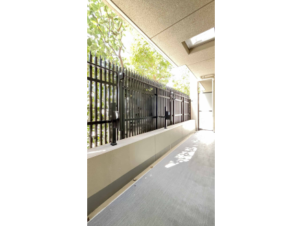 image photo