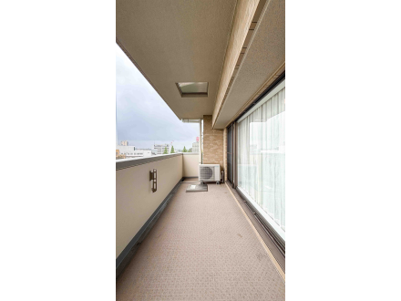image photo