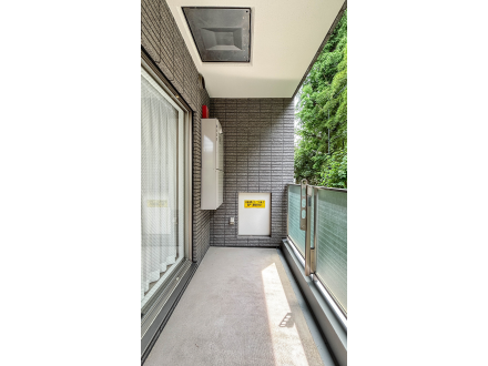 image photo