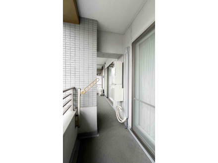 image photo