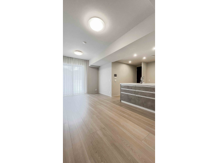 image photo