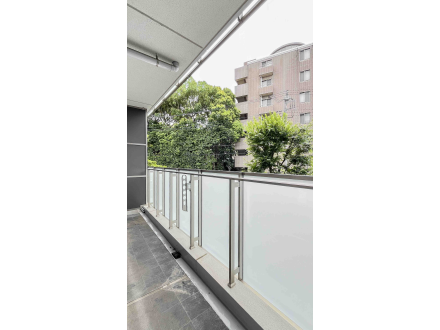image photo