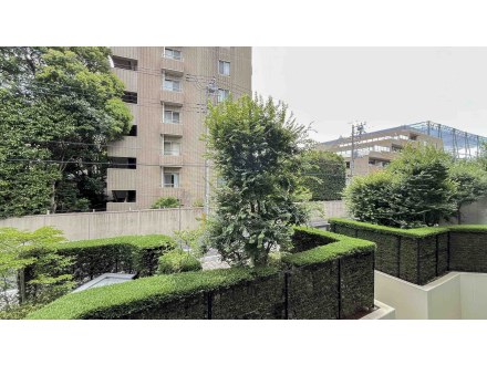 image photo