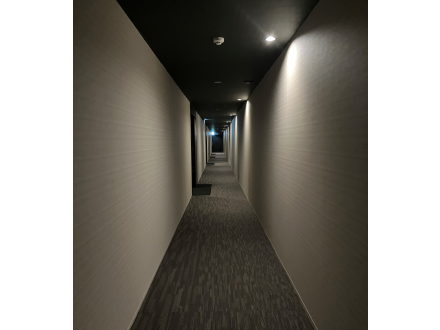 image photo