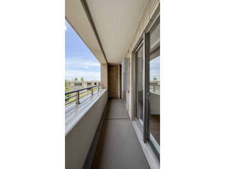 image photo