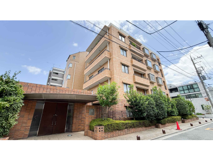 �ե��쥻���̸��»����ִ�