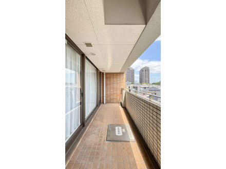 image photo