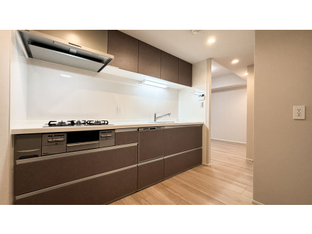 image photo