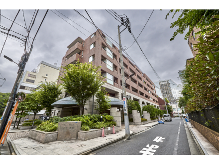 image photo