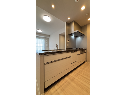 image photo
