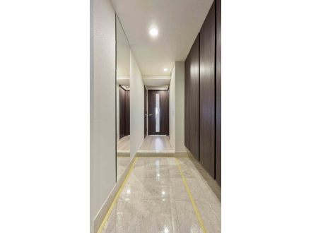 image photo