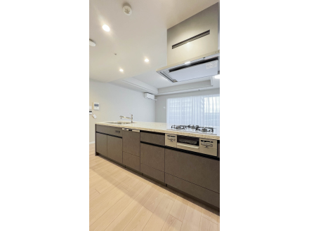 image photo