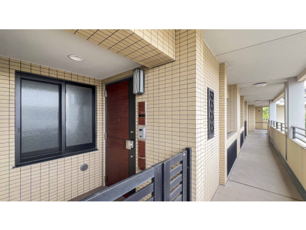 image photo