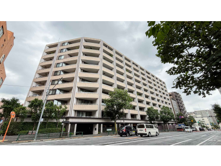 image photo