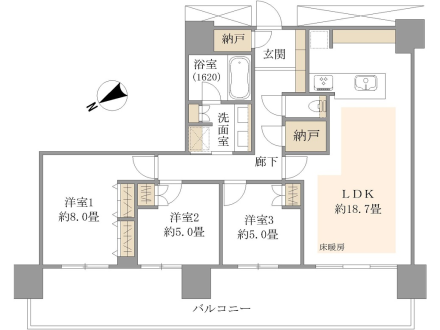 image photo