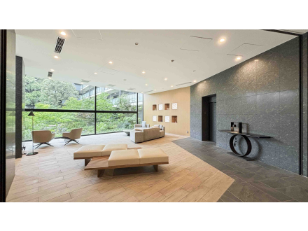 image photo