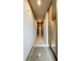 image photo