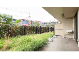 image photo