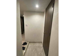 image photo