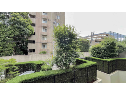 image photo