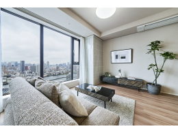 image photo