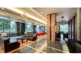image photo