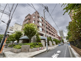 image photo