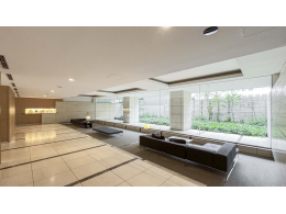 image photo